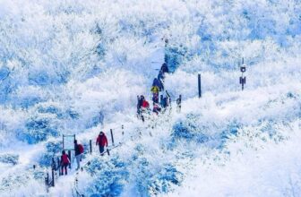 [🆕🇻🇳] Checkin và Du lịch Hàn Quốc – Korea Travel ♥️️ Top1Checkin ☑  Hãy cùng chúng tôi khám phá vẻ đẹp tuyệt vời của núi Deogyusan (덕유산)  nơi mùa tuyết trắng xóa bao phủ khắp núi rừng.
Trải nghiệm cảm giác phấn khích khi  , shares-0✔️ , likes-15❤️️ , date-2024-12-11 15:42:23🇻🇳🇻🇳🇻🇳📰🆕