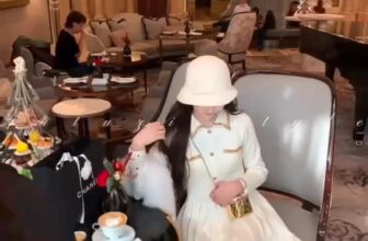 [???] Eliver Since 2013 – Thương hiệu thời trang mang phong cách Thanh lịch ? Top1Fashion ?   , shares-0✔️ , likes-0❤️️ , date-2024-12-13 02:29:11????????