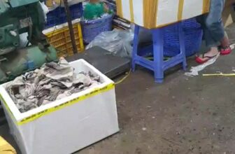 [🆕🇻🇳] Tôm Hùm Việt – Chuyên cung cấp sỉ tôm hùm cho các vựa, nhà hàng khách sạn 🍔 Top1Food  🍜 Cuối tuần em về số lượng lớn #Tôm_Hùm
Khách chỉ việc lên đơn là em ship tận nhà luôn nha
#Giá chỉ từ 8xx/1kg hàng bao ăn chắc thịt
Mời anh/chị Sỉ – Lẻ I , shares-0✔️ , likes-4❤️️ , date-2024-12-14 14:51:09🇻🇳🇻🇳🇻🇳📰🆕