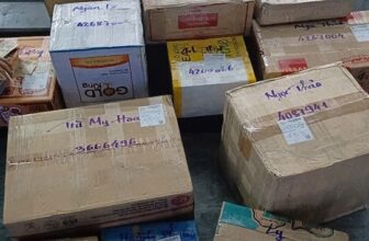 [🆕🇻🇳] Bánh Tráng Tây Ninh Dung Trần 🍔 Top1Food  🍜  , shares-0✔️ , likes-2❤️️ , date-2024-12-13 01:55:26🇻🇳🇻🇳🇻🇳📰🆕