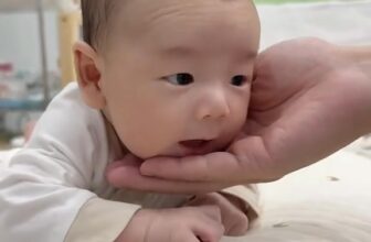 [🆕🇻🇳] Shop 2Gà Con HN-Đồ Sơ Sinh Trọn Gói 🧑‍🧒❤️️👶⭐️ Em bé nhà tui iu quá nè…
, shares-0✔️ , likes-2❤️️ , date-2024-12-16 19:12:32🇻🇳🇻🇳🇻🇳📰🆕