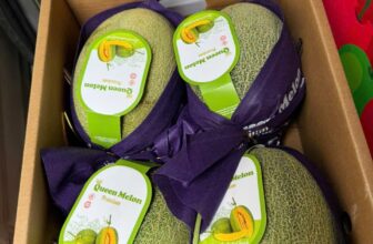 [🆕🇻🇳] Trái Cây Nhập Khẩu Đường Bay – Cửa hàng rau quả 🍔 Top1Food  🍜 Dưa lưới ĐL đã về- trái tươi giòn- ngọt lịm- vân dày đặc siêu ngon #80k/kgThùng khoản 7kg #460k
…Đây là vị bên em ăn thử và miêu tả. Khuyến khích khá , shares-0✔️ , likes-2❤️️ , date-2024-12-15 16:53:00🇻🇳🇻🇳🇻🇳📰🆕