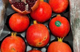 [🆕🇻🇳] Khả Hân Fresh Fruit – Sầu Riêng 6 Hữu 🍔 Top1Food  🍜 LỰU ẤN ĐỘ – dòng lựu được đánh giá là ngon nhất thế giới , quả mọng nước , hạt mềm , ngọt thanh mát , không bị chua , là loại trái cây rất tốt cho mẹ bầu v , shares-0✔️ , likes-0❤️️ , date-2024-12-16 02:24:49🇻🇳🇻🇳🇻🇳📰🆕