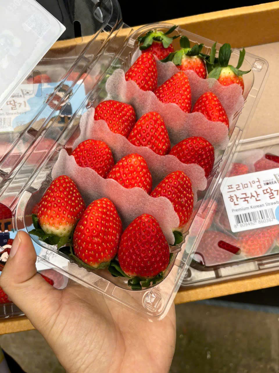 [🆕🇻🇳] Trái Cây Nhập Khẩu Tuy Hoà-Phú An Food 🍔 Top1Food  🍜 Chào Đón mùa Dâu Hàn Quốc 
Em lên kèo thơm cho khách đây ạ
 Dâu JOY Hàn Quốc mai em về sẵn nhé cả nhà 
Chỉ #210k/hộp 330g ( quá rẻ so với thị trường ạ )
   , shares-0✔️ , likes-4❤️️ , date-2024-12-14 21:37:46🇻🇳🇻🇳🇻🇳📰🆕