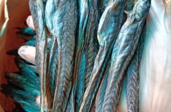 [🆕🇻🇳] Đặc Sản Vùng Quê – Thực phẩm & Đồ uống 🍔 Top1Food  🍜 Khô kèo đại size 10/11c hàng e bao khô bao lạt ạ.
Mua dùng biếu tặng đều sang xịn mịn chất ạ
Zalo sỉ 0908299155 giá tốt nhất
, shares-1✔️ , likes-3❤️️ , date-2024-12-13 21:58:18🇻🇳🇻🇳🇻🇳📰🆕