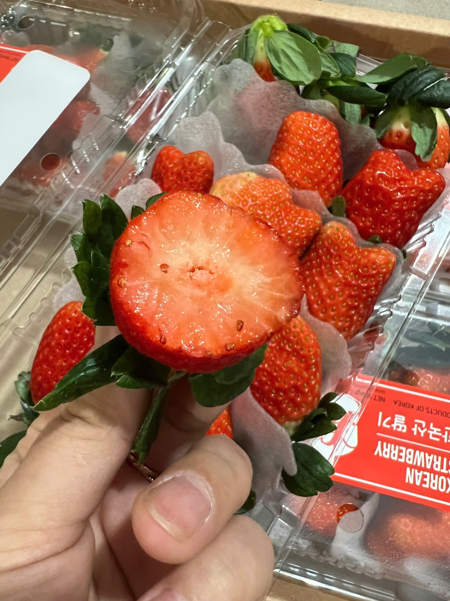 [☕️🇻🇳] Mê Linh Coffee Garden 🥤 Top1Coffee ☕️ Góc nào của nhà 𝐌𝐞̂ 𝐋𝐢𝐧𝐡 cũng ngập tràn không khí Giáng sinh
Ghé ngay đến 𝐌𝐞̂ 𝐋𝐢𝐧𝐡 để tận hưởng không khí Giáng Sinh ấm áp đầy  , shares-5✔️ , likes-35❤️️ , date-2024-12-19 17:21:57🇻🇳🇻🇳🇻🇳📰🆕