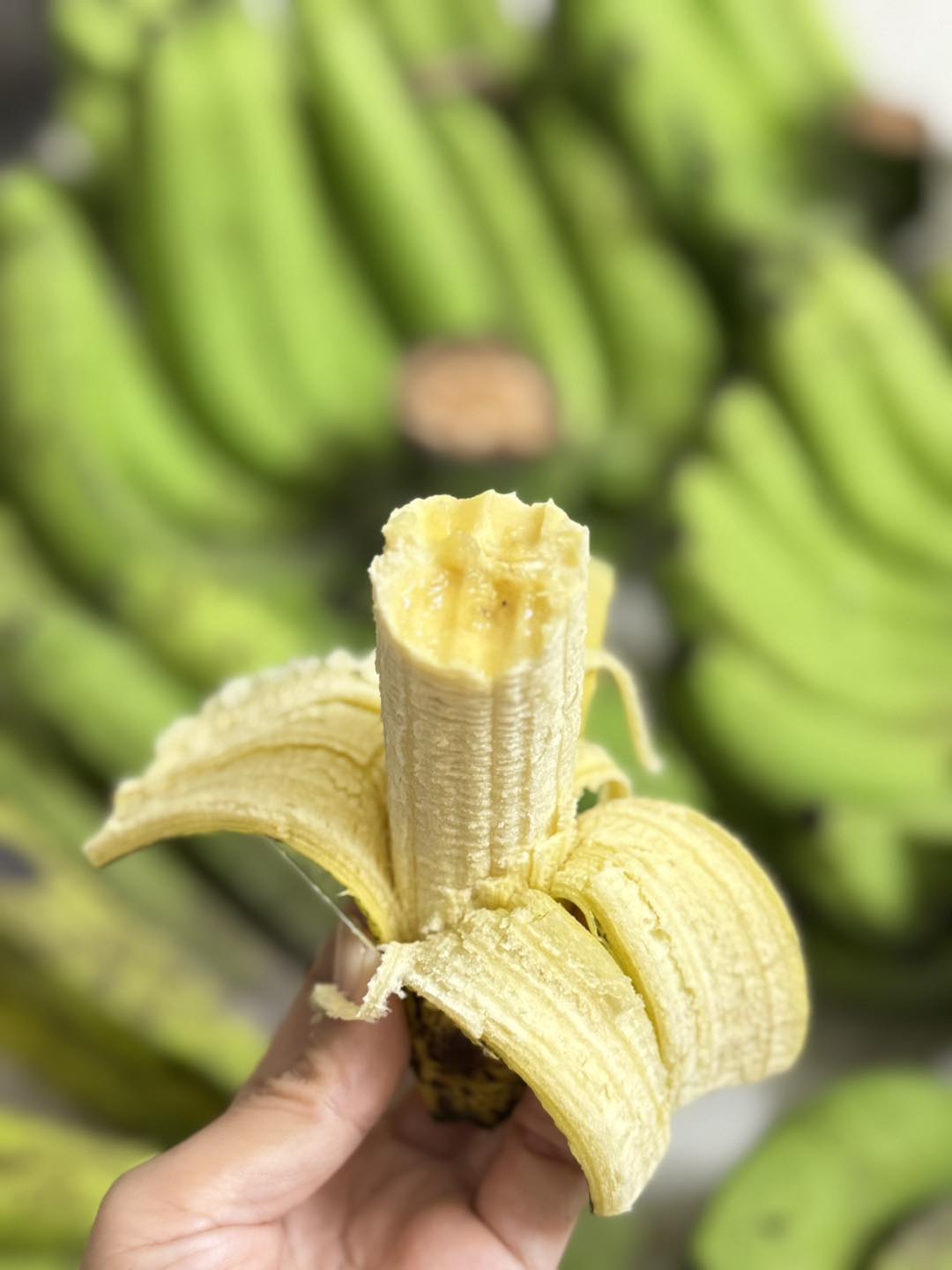 [🆕🇻🇳] Nhà AnAn – chuyên cung cấp rau củ quả hữu cơ, sạch, rõ nguồn gốc từ Đà Lạt 🍔 Top1Food  🍜 Chuối chín cây, quá trời ngon 
 , shares-0✔️ , likes-2❤️️ , date-2024-12-20 16:46:16🇻🇳🇻🇳🇻🇳📰🆕