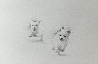 [???] Trạm Vẽ painting – Sunny art ? Top1Designs ✨  Những nét chì tạo ra sự đáng yêu
, shares-1✔️ , likes-6❤️️ , date-2024-12-13 04:25:01????????