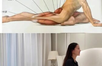 [🆕🇻🇳] Yoga Thực Dưỡng 🧘 Top1Yoga 🤸🏻‍♀️  , shares-0✔️ , likes-3❤️️ , date-2024-12-17 14:10:10🇻🇳🇻🇳🇻🇳📰🆕