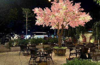 [☕️🇻🇳] AHA Cafe 🥤 Top1Coffee ☕️ Mùa đông 2024 thực sự đã về miền Bắc rồi các bạn ạ! Hãy giữ ấm cơ thể mình nhé và đừng quên cùng bạn bè và gia đình ghé AHA Cafe , shares-2✔️ , likes-15❤️️ , date-2024-12-17 05:24:59🇻🇳🇻🇳🇻🇳📰🆕