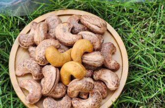 [🆕🇻🇳] Hoa Quả 4Mùa – Cửa hàng rau quả 🍔 Top1Food  🍜  𝐇𝐀̣𝐓 Đ𝐈𝐄̂̀𝐔 𝐂𝐎̂̀ 𝐁𝐈̀𝐍𝐇 𝐏𝐇𝐔̛𝐎̛́𝐂 𝐋𝐎𝐀̣𝐈 𝐀+ MÙA VỤ MỚI
Hộp xếp hoa: #129k/ hộp 500gr
Date 12 thángTừ 5 hộp giá 119k/ hộp
HÀNG , shares-0✔️ , likes-0❤️️ , date-2024-12-17 17:56:45🇻🇳🇻🇳🇻🇳📰🆕