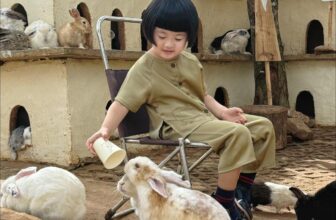 [???] Yi Closet Bán nét hồn nhiên, tặng kèm trang phục ?‍?❤️️?⭐️ Mấy hôm chụp ảnh vất vả quá. Nay người mẫu được thưởng cho bữa đi chơi.
, shares-0✔️ , likes-8❤️️ , date-2024-12-16 18:15:32????????