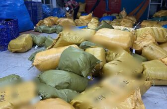 [🆕🇻🇳]  Chuyên Sỉ Lẻ Quần Áo Trẻ Em Cao Cấp 🧑‍🧒❤️️👶⭐️ Live tua nào làm tua đó trong đêm là đi luôn ạ
Nhanh nhất
, shares-0✔️ , likes-2❤️️ , date-2024-12-22 01:29:30🇻🇳🇻🇳🇻🇳📰🆕