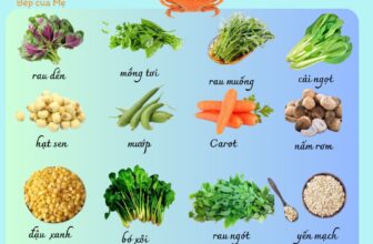 [🆕🇻🇳] Bếp của Mẹ 🍔 Top1Food  🍜  , shares-2✔️ , likes-2❤️️ , date-2024-12-17 14:00:20🇻🇳🇻🇳🇻🇳📰🆕