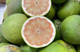 [🆕🇻🇳] Hương Thảo food and Fruits – Cửa hàng thực phẩm tự nhiên 🍔 Top1Food  🍜 BƯỞI DA XANH HÀNG ĂN K CUỐN : 45K/KY
, shares-0✔️ , likes-0❤️️ , date-2024-12-18 00:27:58🇻🇳🇻🇳🇻🇳📰🆕