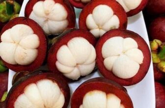 [🆕🇻🇳] Paul’s Healthy Fruits – Cửa hàng rau quả 🍔 Top1Food  🍜  MĂNG CỤT THÁI DA CÁM SIÊU NGON
Size vip bao ăn trên 90% ạhMăng cụt Thái Lan đầu mùa ăn Chóng thèm nha khách.
Trời ơi ngon xuất sắc nha khách yêu ơi, e , shares-0✔️ , likes-0❤️️ , date-2024-12-15 19:12:56🇻🇳🇻🇳🇻🇳📰🆕