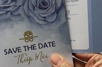 [🆕🇻🇳] Thiệp Cưới Đẹp – chuyên sản xuất và cung cấp các loại thiệp cưới theo phôi, thiệp cưới thiết kế giá rẻ chất lượng cao  🎨 Top1Designs ✨  Video liên quan
, shares-0✔️ , likes-0❤️️ , date-2024-12-14 01:03:32🇻🇳🇻🇳🇻🇳📰🆕