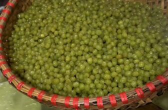 [🆕🇻🇳] Bánh Trung Thu Minh Ý – Nhà sản xuất 🍔 Top1Food  🍜  , shares-0✔️ , likes-1❤️️ , date-2024-12-16 19:25:43🇻🇳🇻🇳🇻🇳📰🆕