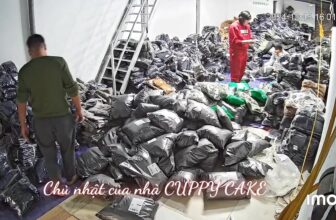 [🆕🇻🇳]  VNXK Limited Kids 🧑‍🧒❤️️👶⭐️ Ngày chủ nhật của nhà CUPPY CAKE   @all cám ơn quý khách hàng đã ủng hộ
, shares-0✔️ , likes-7❤️️ , date-2024-12-16 02:57:56🇻🇳🇻🇳🇻🇳📰🆕