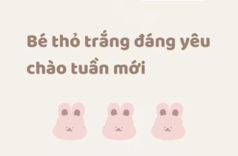 [🆕🇻🇳] EMBES là thương hiệu thời trang “Việt made” chất lượng cao dành cho trẻ em 🧑‍🧒❤️️👶⭐️ 𝐁𝐞́ 𝐭𝐡𝐨̉ 𝐭𝐫𝐚̆́𝐧𝐠 𝐝𝐞̂̃ 𝐭𝐡𝐮̛𝐨̛𝐧𝐠 𝐜𝐡𝐚̀𝐨 𝐭𝐮𝐚̂̀𝐧 𝐦𝐨̛́𝐢Tuần vừa rồi bé nhà mình có gì vui không ạ, các mẹ cùng chia sẻ cho Embes với nhaCùng ngắm nhìn nhữn , shares-1✔️ , likes-7❤️️ , date-2024-12-23 18:11:39🇻🇳🇻🇳🇻🇳📰🆕