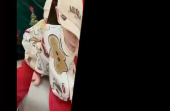 [🆕🇻🇳] Bắp Xinh Shop – Thời Trang Của Bé 🧑‍🧒❤️️👶⭐️ Set bộ nỉ NOEL nổi bật cho bé yêu
Chất liệu nỉ 2 da ấm áp, quần bo chun gấu thoải mái và năng động
Size 90-150 (7kg-27kg)
——————————– , shares-0✔️ , likes-3❤️️ , date-2024-12-18 05:02:30🇻🇳🇻🇳🇻🇳📰🆕