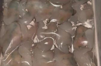 [🆕🇻🇳] RinRin Shop – Cảo nhà em làm gia truyền, chuẩn gốc Hoa 🍔 Top1Food  🍜 HÁ CẢO HẸ THỊT 25 VIÊN SIÊU TO – SET NẶNG 1⃣ KÝ Ạ
1⃣2⃣0⃣k/ Set, 25 viên To nhoa chị iu vấu ơiMình về hấp nóng lại dùng là n , shares-0✔️ , likes-0❤️️ , date-2024-12-15 22:51:44🇻🇳🇻🇳🇻🇳📰🆕