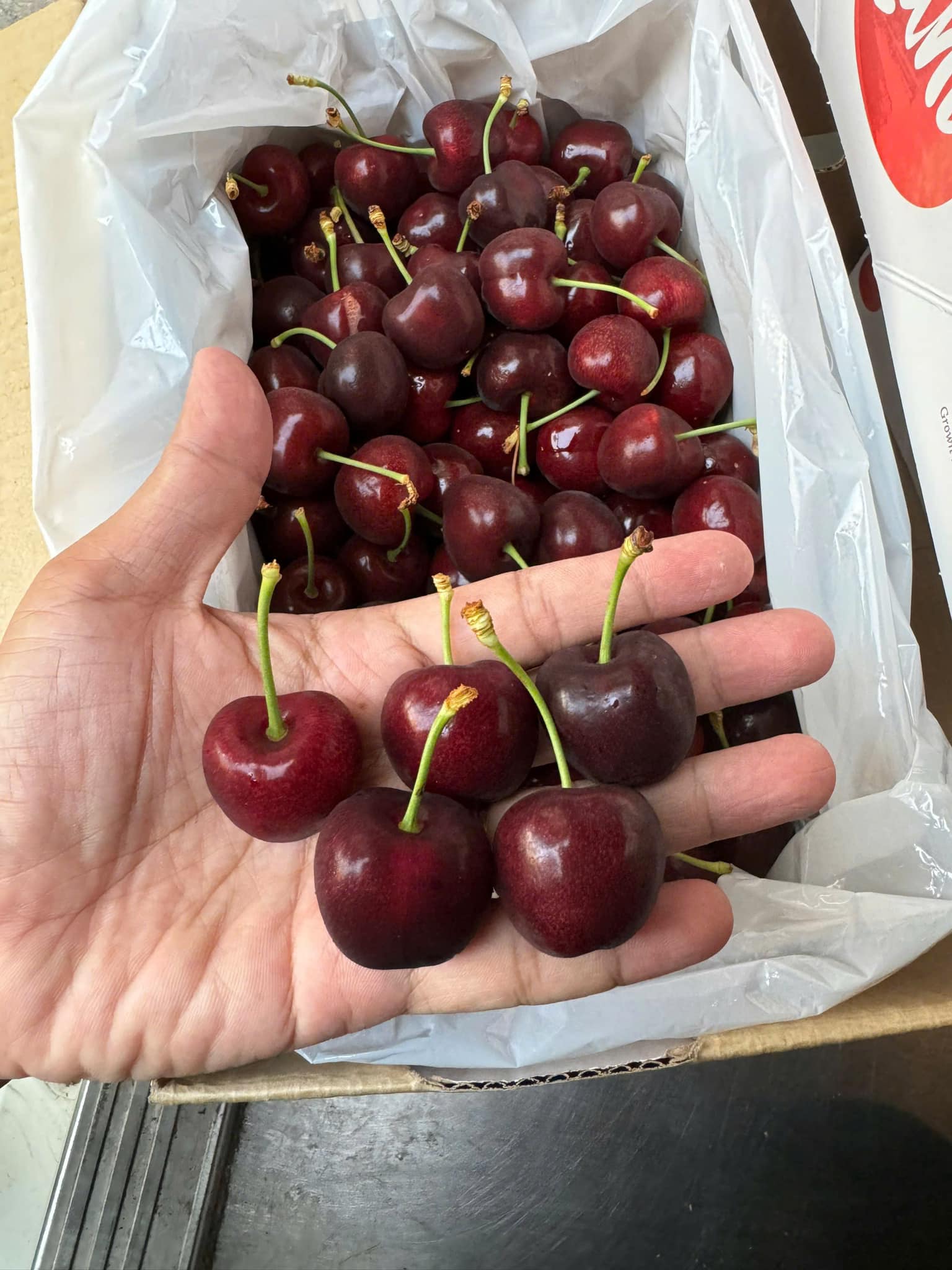 [🆕🇻🇳] LOVI SHOP 👕 Top1Fashion 👗  EMMA SHIRT x ELLA SKIRT

Link sản phẩm:
Áo: 
Chân váy: 

Outfit xinh iu này sẵn hàng ở Lovi
Để lại Cmt hoặc inbox để Lovi tư vấn kỹ hơn cho nàng nhé 
—
Sho , shares-0✔️ , likes-0❤️️ , date-2024-12-19 02:06:11🇻🇳🇻🇳🇻🇳📰🆕