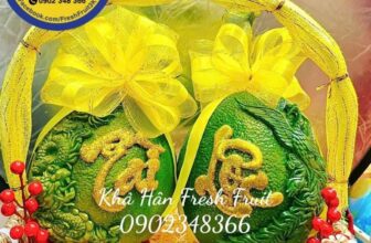 [🆕🇻🇳] Khả Hân Fresh Fruit – Sầu Riêng 6 Hữu 🍔 Top1Food  🍜 giỏ quà doanh nghiệp best seller năm ngoái nhà hân đi gần 200 cặp cho công ty và 100 cặp cho spa chưa bao giờ hết hot
theo quan niệm dân gian thì quả bưởi , shares-0✔️ , likes-1❤️️ , date-2024-12-18 21:17:29🇻🇳🇻🇳🇻🇳📰🆕