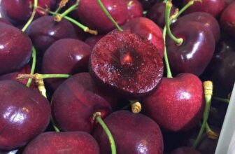 [🆕🇻🇳] Paul’s Healthy Fruits – Cửa hàng rau quả 🍔 Top1Food  🍜 Cherry  newzealand Cứng Giòn tan Ngọt Lịm
Size 30 vip nhất trong cac dong chery
Cherry Cứng Trái Giòn Ngọt. Siêu đỉnhTươi mới, cứng giòn ngọt
Thùng 2 , shares-0✔️ , likes-0❤️️ , date-2024-12-20 16:57:58🇻🇳🇻🇳🇻🇳📰🆕