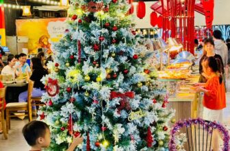 [🆕🇻🇳] Buffet KingHouse Seafood Cần Thơ 🍔 Top1Food  🍜  , shares-5✔️ , likes-12❤️️ , date-2024-12-22 02:13:09🇻🇳🇻🇳🇻🇳📰🆕