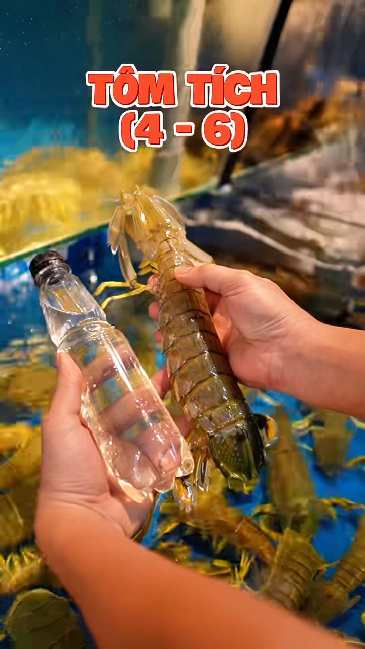 [🆕🇻🇳] Titi Seamarket – Cửa hàng hải sản tiện lợi ngon sạch 🍔 Top1Food  🍜  Hải Sản TiTi chuyên cung cấp Sỉ và Lẻ 
        
                     Các Loại Cua + Ghẹ 

                    (Hàng loại 1 – Bao ăn )

Cua Gạch : 

– 2-3  , shares-0✔️ , likes-7❤️️ , date-2024-12-19 03:03:09🇻🇳🇻🇳🇻🇳📰🆕