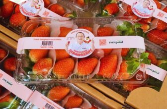 [🆕🇻🇳] F5 Fruit Shop Hồ Chí Minh-hệ thống bán lẻ Trái cây Nhập khẩu cao cấp 🍔 Top1Food  🍜  , shares-1✔️ , likes-0❤️️ , date-2024-12-20 22:50:23🇻🇳🇻🇳🇻🇳📰🆕