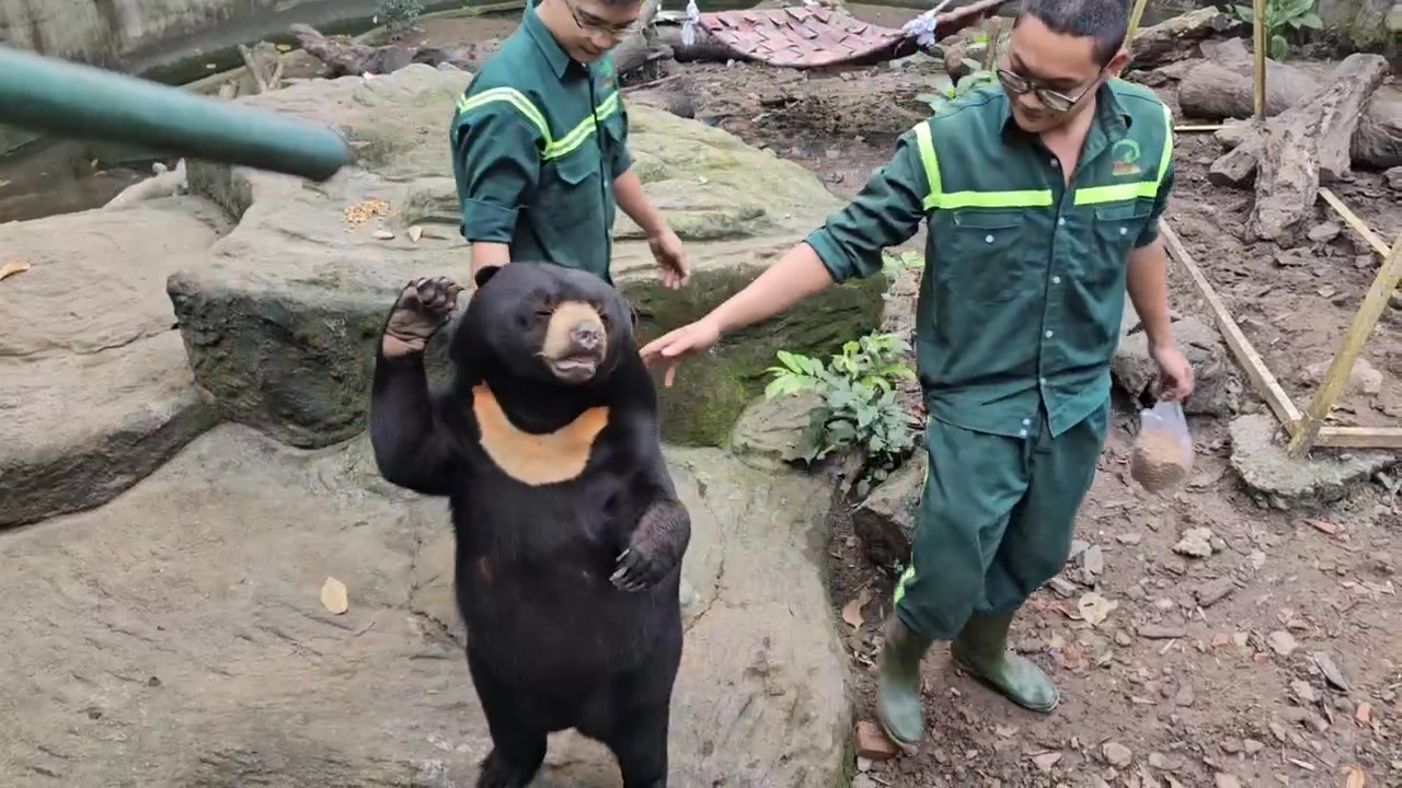 [🆕🇻🇳] Shop Mẹ Bon – Chuyên quần áo trẻ sơ sinh , trẻ em chính hãng 🧑‍🧒❤️️👶⭐️ Xả tiếp hộ kho 1 mã hoodie Dokma nỉ lót lông, size 3-7y như hình ạ
269k -> 129k
 , shares-0✔️ , likes-1❤️️ , date-2024-12-18 18:20:27🇻🇳🇻🇳🇻🇳📰🆕