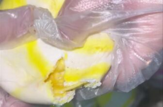 [🆕🇻🇳] RinRin Shop – Cảo nhà em làm gia truyền, chuẩn gốc Hoa 🍔 Top1Food  🍜 BÁNH BAO PHÔ MAI TRỨNG MUỐI GÀ SỢI  130k/ SET 6 CÁI TO NHA CẢ NHÀ IUSự kết hợp độc đáo giữa phô mai tươi thơm béo + trứng muối béo bùi + gà sợi mặn mặn t , shares-0✔️ , likes-1❤️️ , date-2024-12-24 00:27:20🇻🇳🇻🇳🇻🇳📰🆕