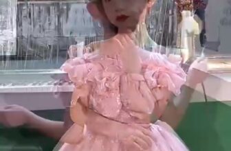 [🆕🇻🇳] AVATA – đầm công chúa bé gái 🧑‍🧒❤️️👶⭐️ Size 10kg-50kg
Lh 0878837747
, shares-0✔️ , likes-0❤️️ , date-2024-12-22 16:56:16🇻🇳🇻🇳🇻🇳📰🆕