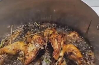 [🆕🇻🇳] Tiệm ăn Gặm – Chân gà muối sả ớt 🍔 Top1Food  🍜 /BÀI DỰ THI THỨ BẢY – HẬU LỚN, LEE MIN HO CỦA GẶM /Cả nhà ơi, hôm nay đến lượt Hậu Lớn – chàng đầu bếp đẹp trai không khác gì Lee Min Ho lên sóng nha!  V , shares-0✔️ , likes-53❤️️ , date-2024-12-22 18:00:16🇻🇳🇻🇳🇻🇳📰🆕