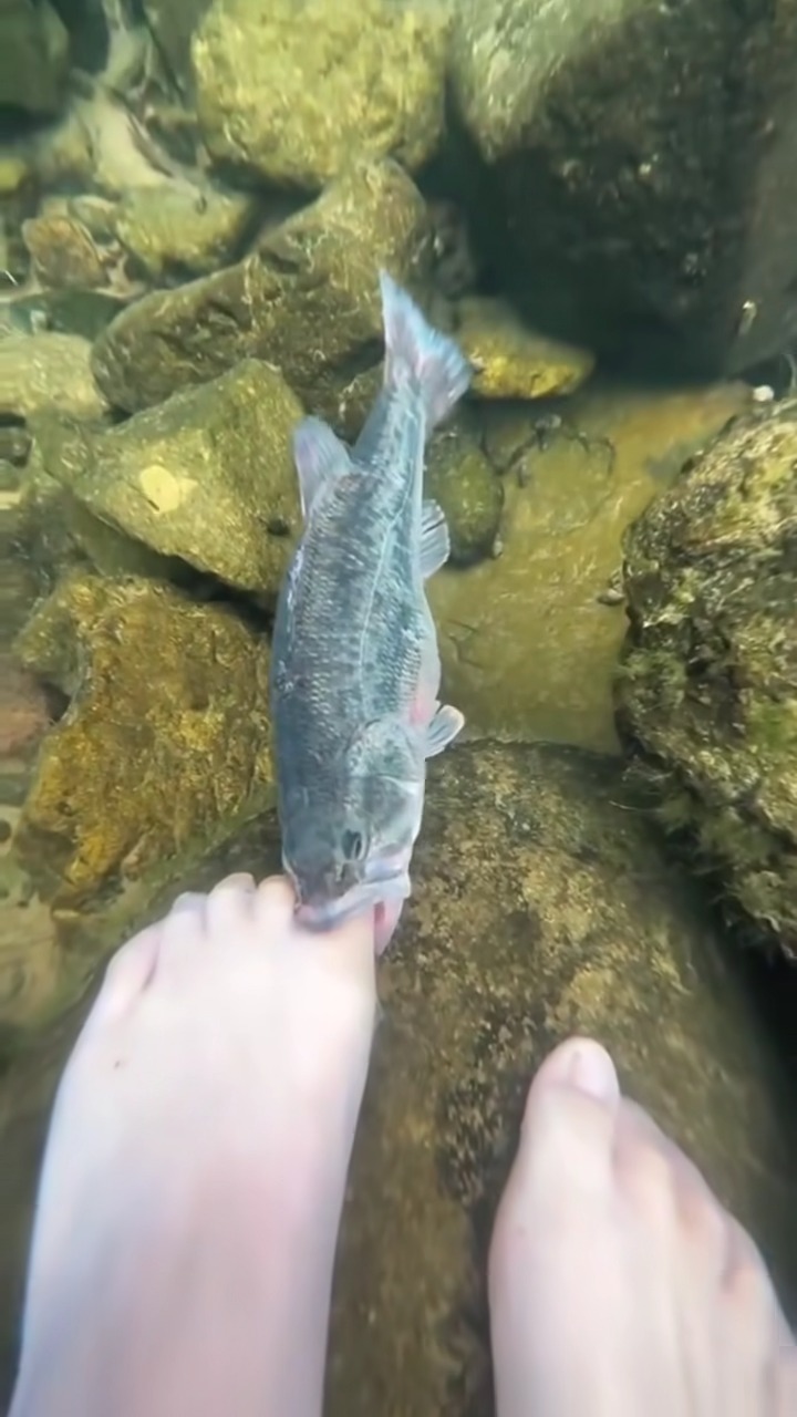 [🆕🇻🇳] 24h – Bệnh Viện Điện Thoại, Laptop 👨‍🔧 Top1Fix 🧰   Câu cá bằng cần
 Câu cá bằng chân
 , shares-0✔️ , likes-39❤️️ , date-2024-12-27 05:00:16🇻🇳🇻🇳🇻🇳📰🆕