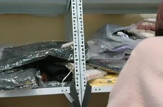 [???]  Bun Kids Shop – Sỉ Lẻ QATE (Thơm Đàm)  ?‍?❤️️?⭐️ Vào lại nhé Ce ơi
, shares-0✔️ , likes-58❤️️ , date-2024-12-19 21:50:24????????