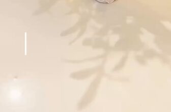 [🆕🇻🇳]  Made By Hằng – chuyên đồ len hanmade 🧑‍🧒❤️️👶⭐️ Thần Tài đến các mom ơi.
Rinh Ngay cho bé 1em body liền thân đỏ tết đây ạ
, shares-0✔️ , likes-2❤️️ , date-2024-12-28 23:20:36🇻🇳🇻🇳🇻🇳📰🆕