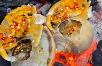 [🆕🇻🇳] Boss Seafood Vietnam – chuỗi nhà hàng chuyên các món Hải Sản 🍔 Top1Food  🍜 Menu sò ốc chiều nay đủ món phục vụ nhà mình quán bán và ship từ 9h đến 24h
0376527268
, shares-1✔️ , likes-2❤️️ , date-2024-12-23 00:20:14🇻🇳🇻🇳🇻🇳📰🆕