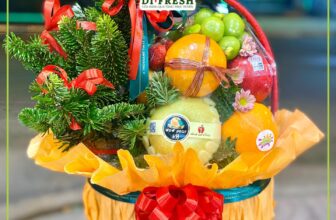 [🆕🇻🇳] Di Fresh Fruits – Cửa hàng trái cây nhập khẩu tươi sạch 🍔 Top1Food  🍜 SÁNG RUNG RINH – TỐI LUNG LINH
Mùa này team Di theo chủ để Noel , gần Giáng Sinh cũng cho chút không khí ạ.In thiệp miễn phí
Trái cây chất lượng theo mù , shares-0✔️ , likes-2❤️️ , date-2024-12-22 03:31:19🇻🇳🇻🇳🇻🇳📰🆕