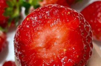 [🆕🇻🇳] Hương Thảo food and Fruits – Cửa hàng thực phẩm tự nhiên 🍔 Top1Food  🍜  DÂU MỘC CHÂU : NGỌT ĐẬM + THƠM + MỘNG NƯƠC……
-Trưa mai 2h – 3h e về ạ..  Size nhở
– 270K/KY
– 140k/500g…
, shares-0✔️ , likes-0❤️️ , date-2024-12-22 05:22:34🇻🇳🇻🇳🇻🇳📰🆕