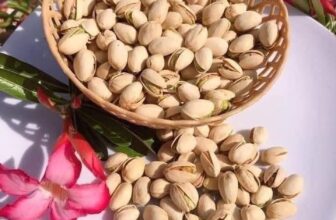 [🆕🇻🇳] Tổng Kho Ăn Vặt Miền Trung – chuyên các món ăn vặt thịnh hành nhất hiện nay 🍔 Top1Food  🍜  , shares-0✔️ , likes-2❤️️ , date-2024-12-22 14:08:59🇻🇳🇻🇳🇻🇳📰🆕