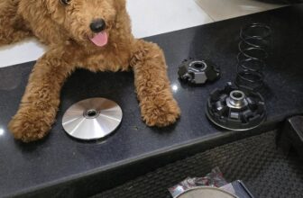 [🆕🇻🇳] Koso Vietnam 🚗 Top1Go 🏍️  Vespa 125 lên nôi truoc koso + noi sau thay bố zinAE gần xa làm nồi bảo dưỡng ủng hộ mình nhaĐ.ị.a c.h.ỉ : Hzẻm 14/1 cây keo , p hiệp tân , q tzân pz , shares-0✔️ , likes-0❤️️ , date-2024-12-20 02:52:06🇻🇳🇻🇳🇻🇳📰🆕