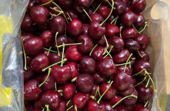 [🆕🇻🇳] Hoa Quả 4Mùa – Cửa hàng rau quả 🍔 Top1Food  🍜  Siêu phẩm#CHERRY_Chile e về thêm
#399k/ kg500g giá 205kCherry Chile JD
Cứng quả – Ngọt , cuống tươi, đậm vị==================Đia chỉ 36 , shares-0✔️ , likes-0❤️️ , date-2024-12-23 23:06:45🇻🇳🇻🇳🇻🇳📰🆕