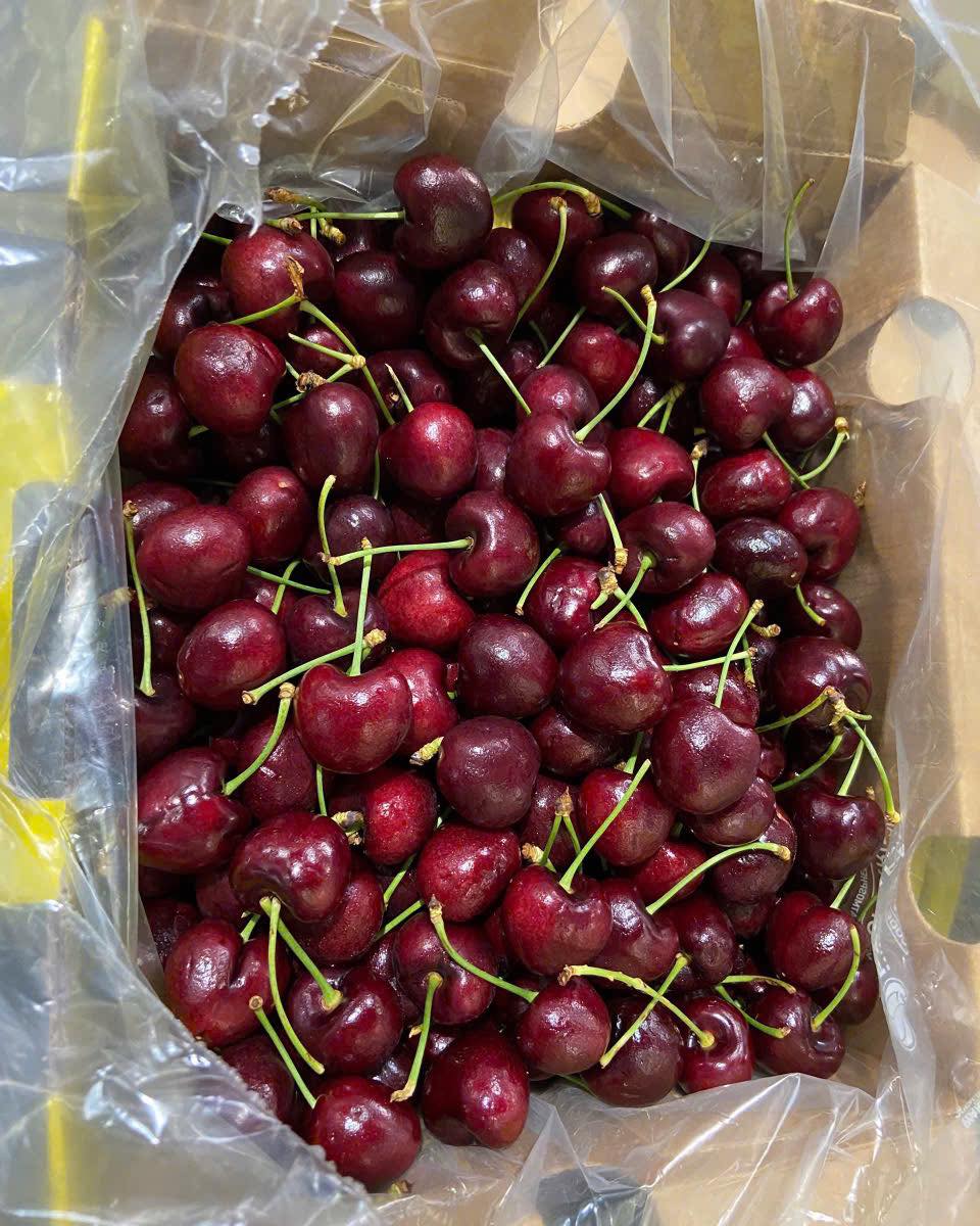 [🆕🇻🇳] Hoa Quả 4Mùa – Cửa hàng rau quả 🍔 Top1Food  🍜  Siêu phẩm 

 #CHERRY_Chile e về thêm 
#399k/ kg 

500g giá 205k 

 Cherry Chile JD
Cứng quả – Ngọt , cuống tươi, đậm vị 

==================

 Đia chỉ 36 , shares-0✔️ , likes-0❤️️ , date-2024-12-23 23:06:45🇻🇳🇻🇳🇻🇳📰🆕