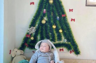 [🆕🇻🇳]  Hani Baby – Hani Baby mang đến sự trải nghiệm ấm áp tới những mẹ đang và sắp có con nhỏ 🧑‍🧒❤️️👶⭐️ Chúc cô chú 1 mùa noel ấm áp, hạnh phúc bên gia đình ạ
#feedback
, shares-0✔️ , likes-4❤️️ , date-2024-12-24 16:42:36🇻🇳🇻🇳🇻🇳📰🆕