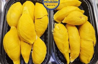 [🆕🇻🇳] Khả Hân Fresh Fruit – Sầu Riêng 6 Hữu 🍔 Top1Food  🍜 SẦU RIÊNG MUSANG KING hôm nay nhà Hân về được một số lượng , mẫu trái to tròn đẹp vip , mua biếu siêu sang phải biết ạ
sầu riêng Musang King còn được gọi  , shares-0✔️ , likes-2❤️️ , date-2024-12-22 17:31:44🇻🇳🇻🇳🇻🇳📰🆕