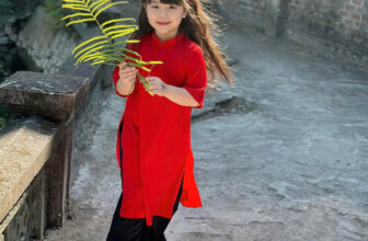 [🆕🇻🇳] Annie Baby – Cửa hàng quần áo sơ sinh & trẻ em – Đồ trẻ em 🧑‍🧒❤️️👶⭐️ #feedback
Ở đây có quá nụ cười và sự đáng yêu cùng áo dài Annie
, shares-0✔️ , likes-2❤️️ , date-2024-12-24 17:46:57🇻🇳🇻🇳🇻🇳📰🆕