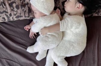 [🆕🇻🇳] BÉ BÉ by Jang Store – Cửa hàng quần áo sơ sinh & trẻ em 🧑‍🧒❤️️👶⭐️ Khi nhà có hai chị em :)))
Trông cưng xỉu lun á MomCre: Sưu tầm
, shares-0✔️ , likes-1❤️️ , date-2024-12-22 04:00:30🇻🇳🇻🇳🇻🇳📰🆕